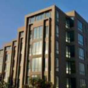 oyster court6